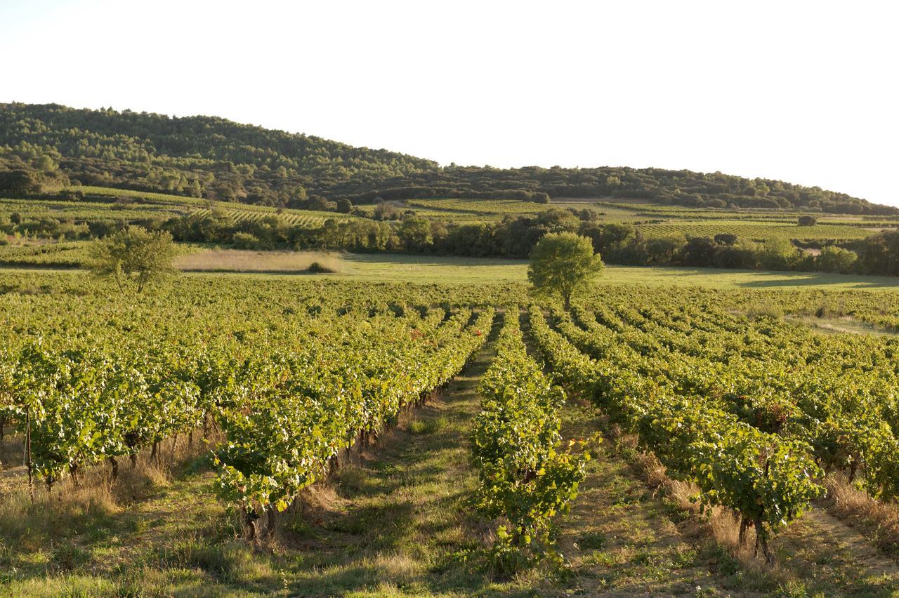Domaine De Pelican Жиньяк Екстер'єр фото