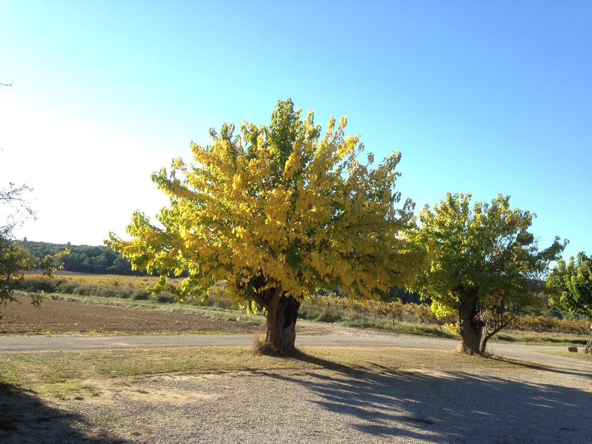 Domaine De Pelican Жиньяк Екстер'єр фото